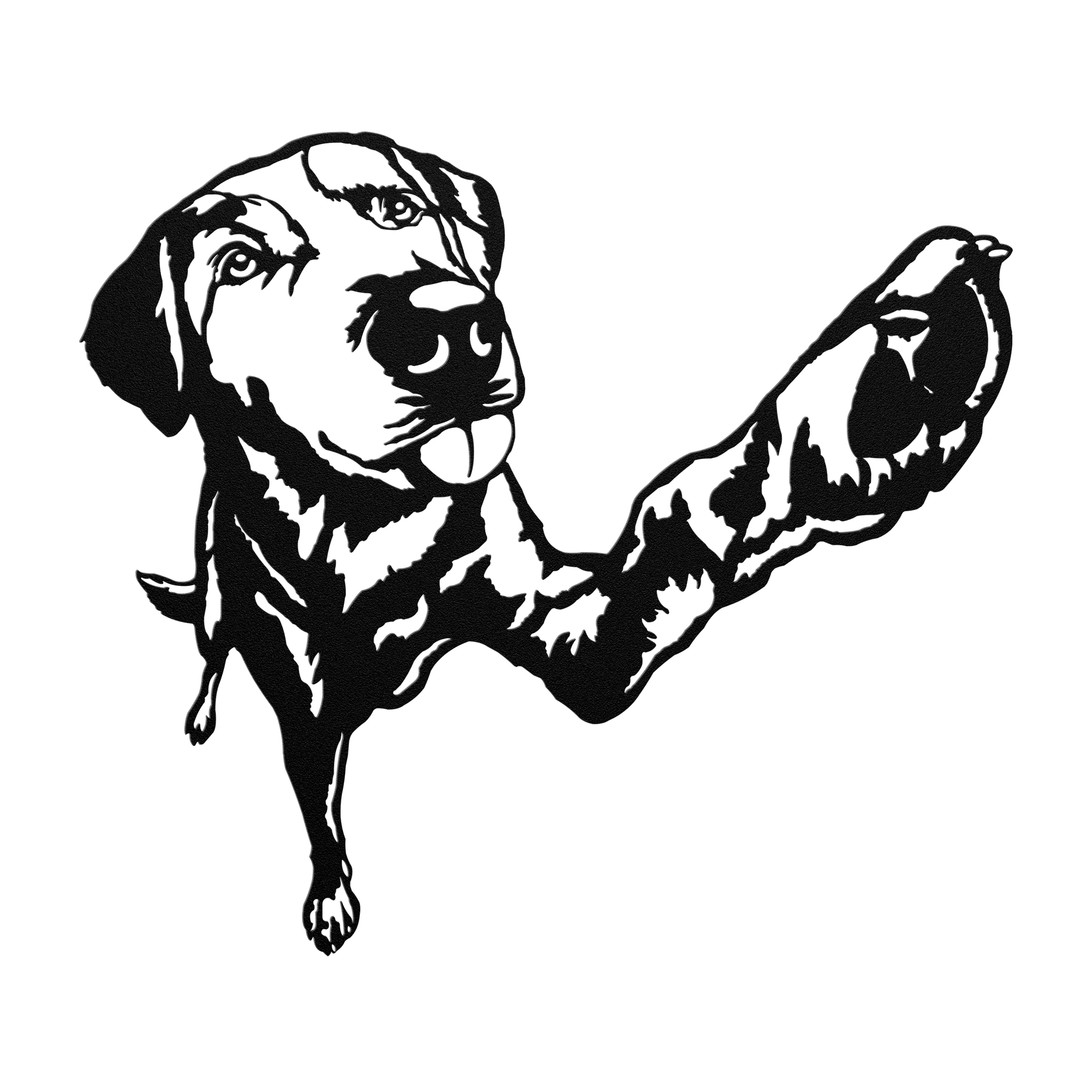 jh_Black_Transparent_Mockup.png_15703489