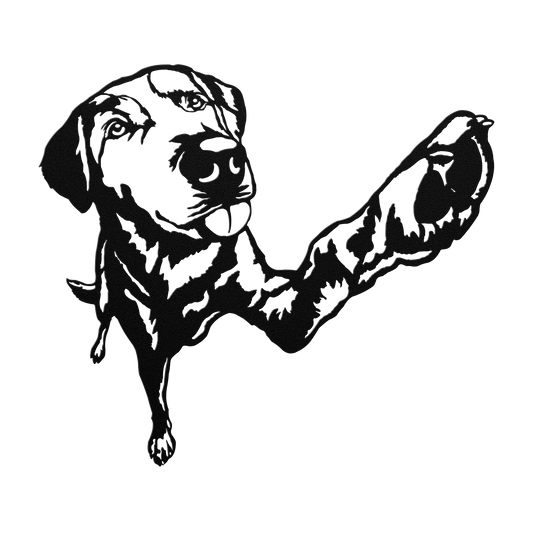 jh_Black_Transparent_Mockup.png_15703489