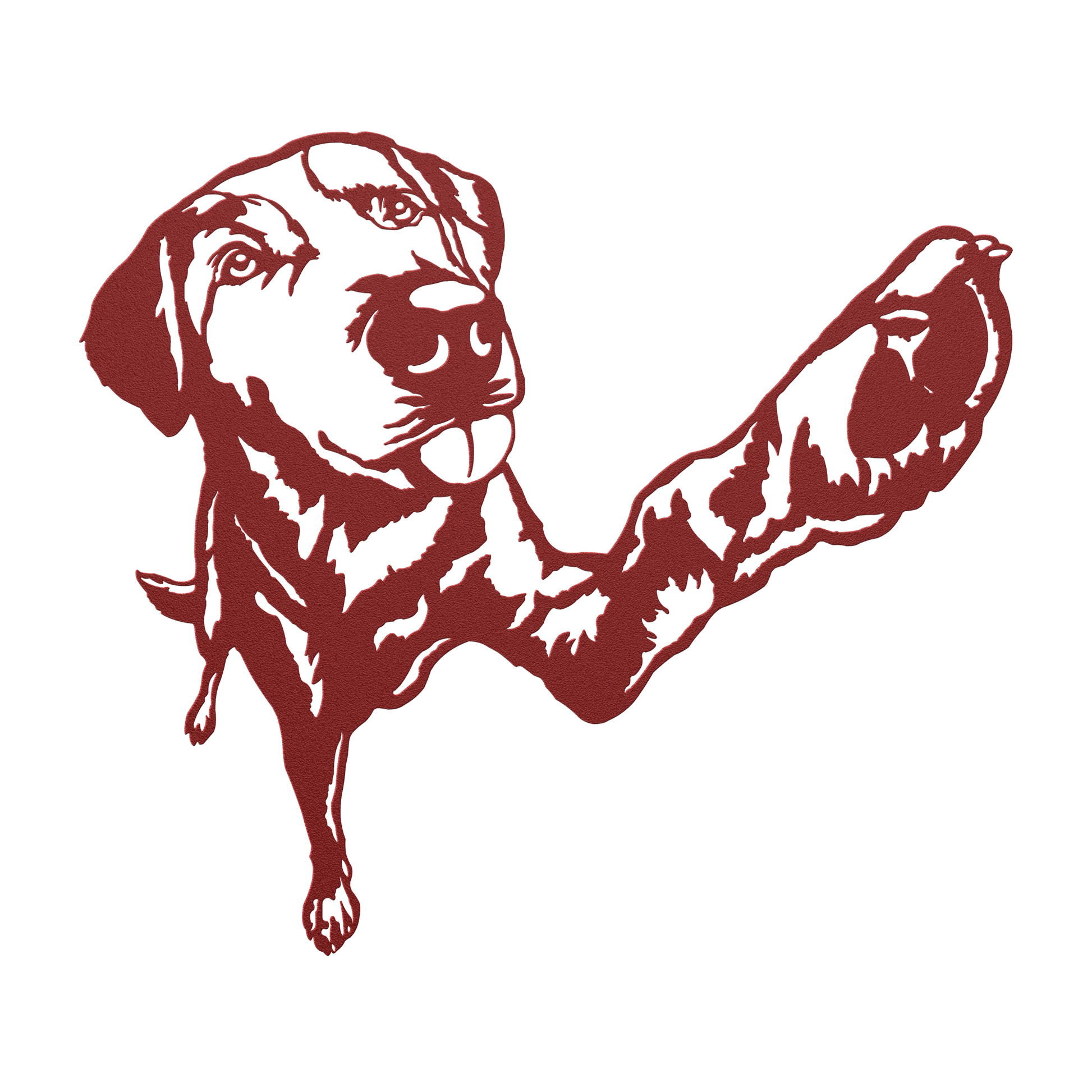 jh_Red_Transparent_Mockup.png_15703495